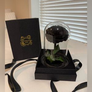 Beautiful intimate gift. black rose
